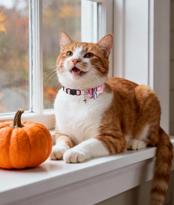 Joytale Upgraded Cat Collar - Image 3
