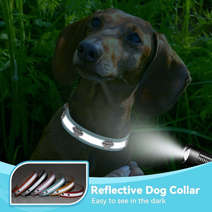 PETCARE Reflective Dog Collar - Image 5