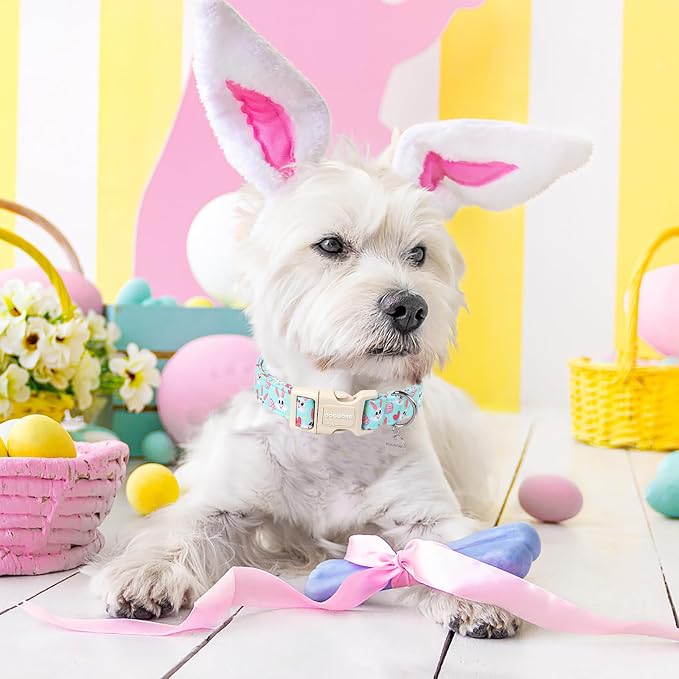 DOGWONG Easter Dog Collar - Image 5