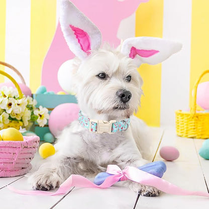 DOGWONG Easter Dog Collar - Image 5
