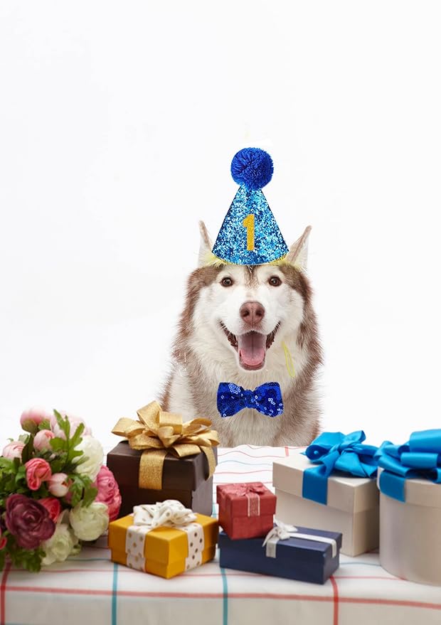 Christmas Pet Party Jazz Hat and Blingbling Bow Tie Breakaway Collar Set - Image 4