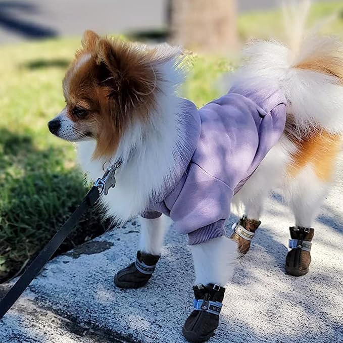 Jecikelon Winter Dog Hoodie Sweatshirts - Image 3
