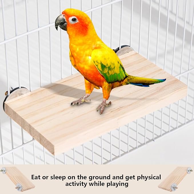 2Pcs Solid Wood Parrot Stand and Small Animal Climbing Platform - Image 7