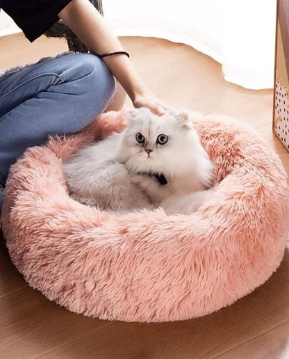 Cat Beds for Indoor Cats - Image 3