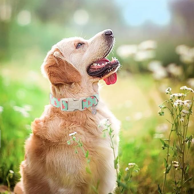 Easter Dog Collar for Small Dogs - Image 2