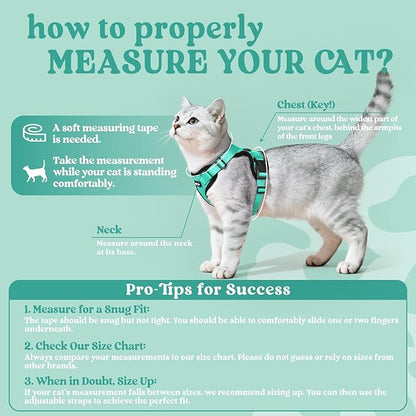 rabbitgoo Cat Harness and Leash - Image 2