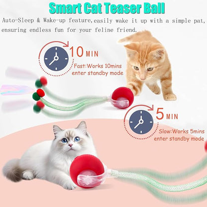 2 Packs Speed 2.0 Tail Interactive Cat Toys - Image 4