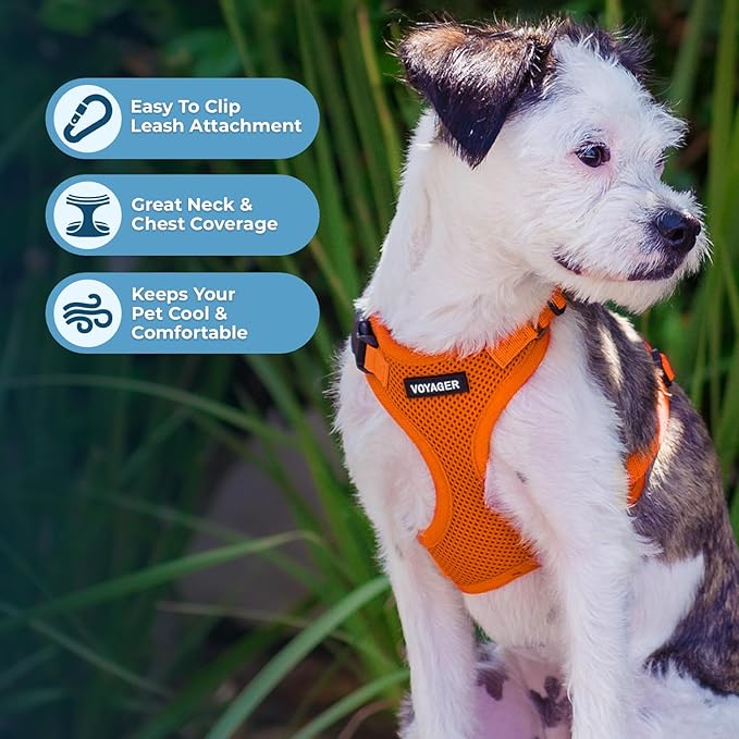 Voyager Step-in Pet Harness - Image 3