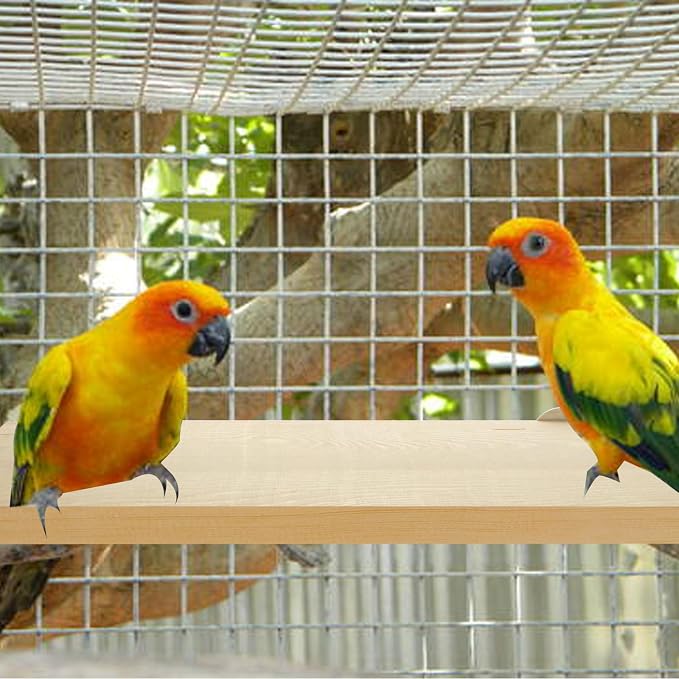 4 Pack 5 x 12 Inches Bird Perches - Image 3
