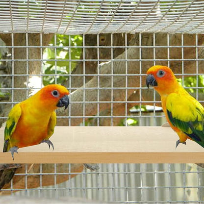 4 Pack 5 x 12 Inches Bird Perches - Image 3