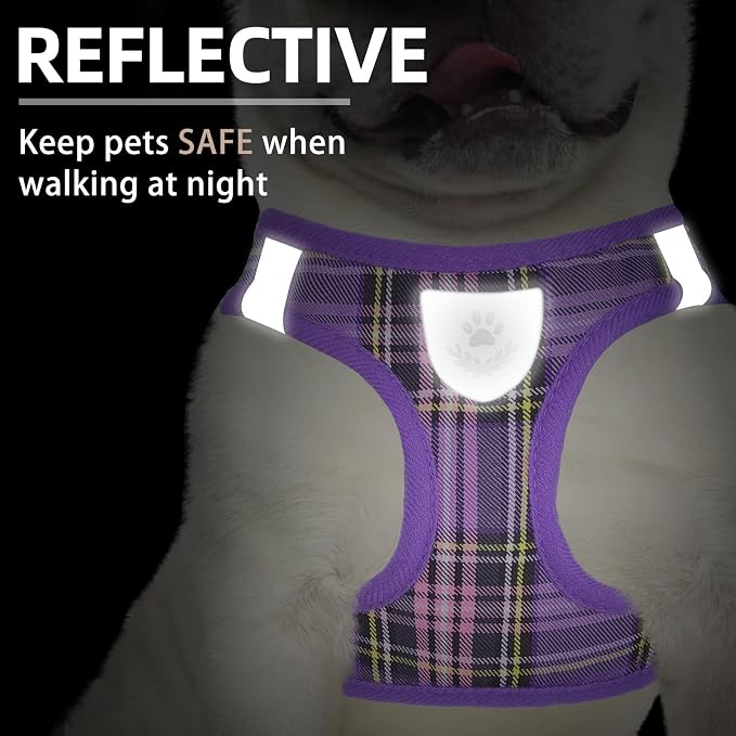 PUPTECK Adjustable Dog Harness Collar and Leash Set Step in No Pull Pet Harness - Image 5