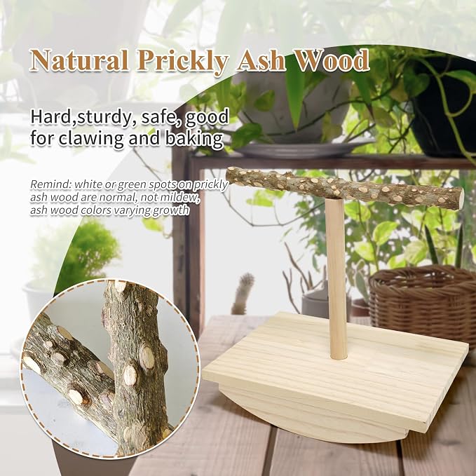 Natural Wood Bird Perch Stand, Rocking Perch - Image 2