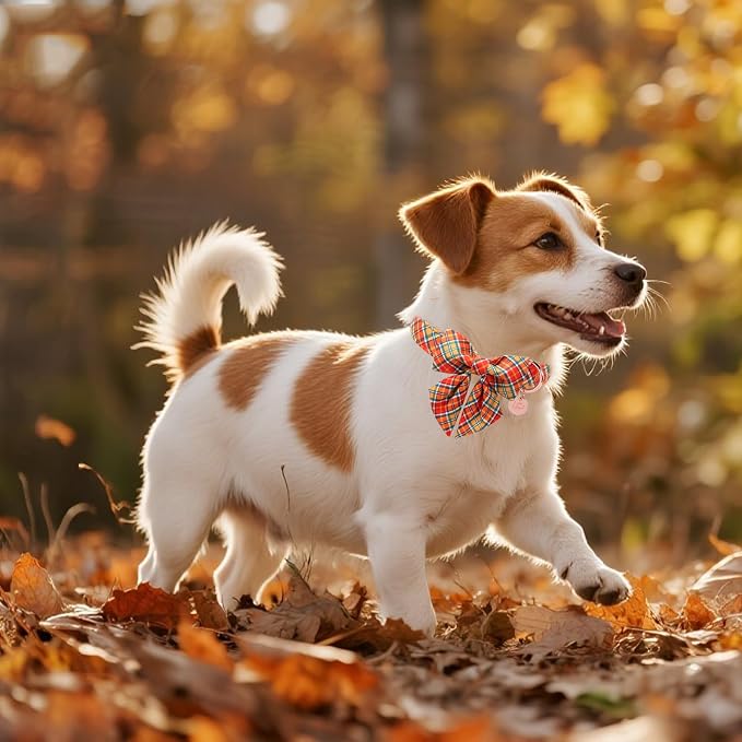 Autumn Plaid Dog Collar and Bow Tie Set – Orange Yellow Checkered Adjustable - Image 6