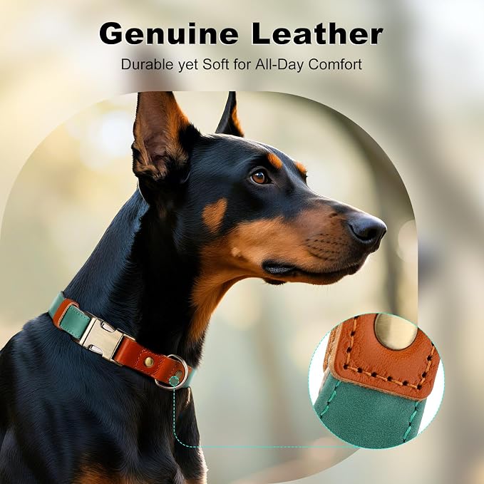 Plutus Pet Genuine Leather & Hemp Dog Collar – Adjustable Heavy Duty Pet Collar - Image 3