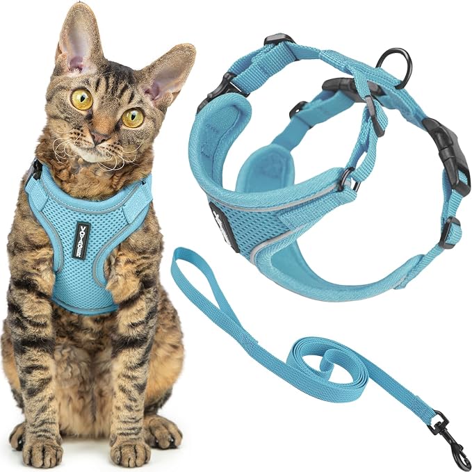 Voyager Escape-Proof Step-in Lock Cat Harness & 5ft Neoprene-Handle Leash Set by BestPetSuppliesLLC