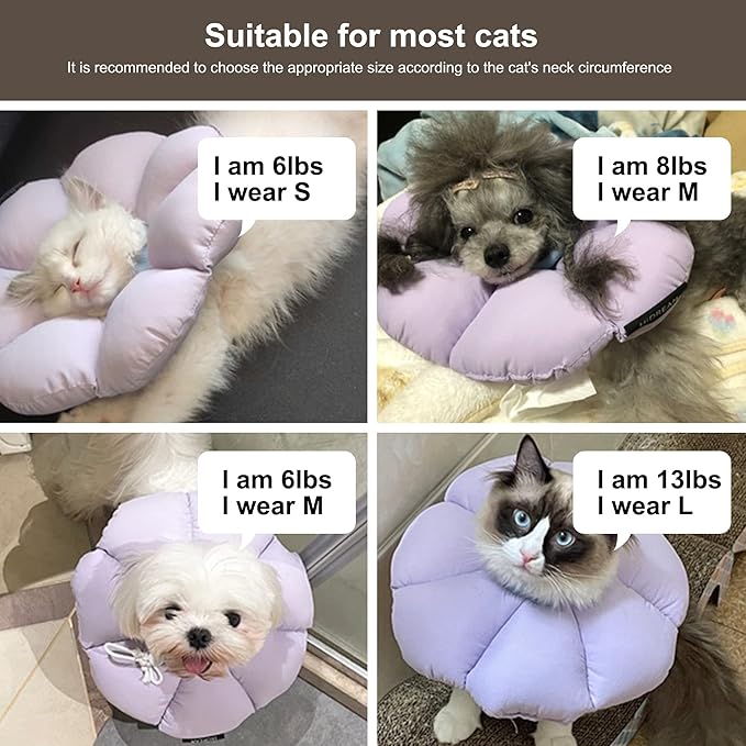 Cat Cone Collar, Cute Waterproof Cat Recovery Collar, Anti-Bite Lick Wound - Image 6