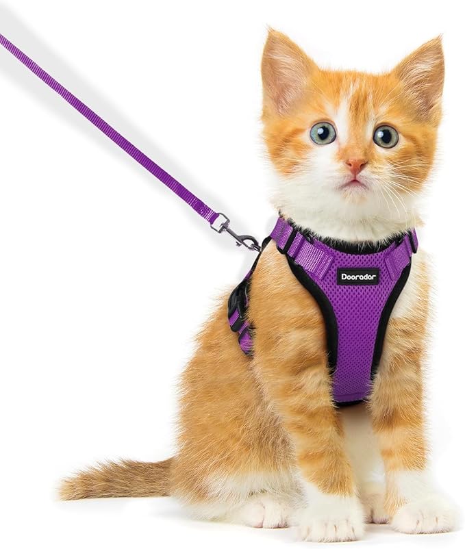 Dooradar Cat Harness and Leash Set, Escape Proof Safe Adjustable Kitten Vest by Dooradar