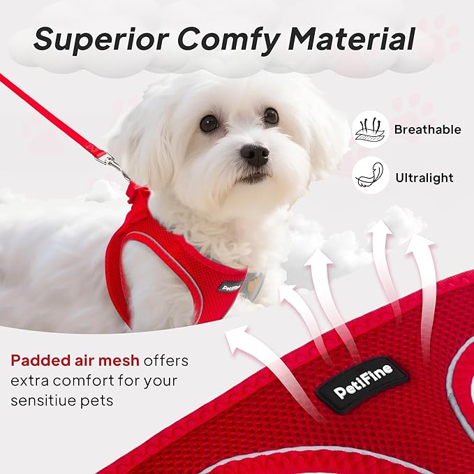 PetiFine Step in Small Dog Harness and Leash Set, Breathable All Weather Air - Image 2