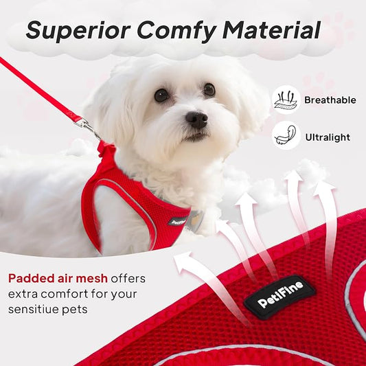 PetiFine Step in Small Dog Harness and Leash Set, Breathable All Weather Air - Image 2
