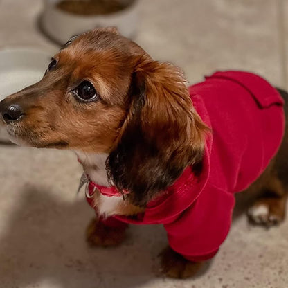 Jecikelon Winter Dog Hoodie Sweatshirts - Image 3