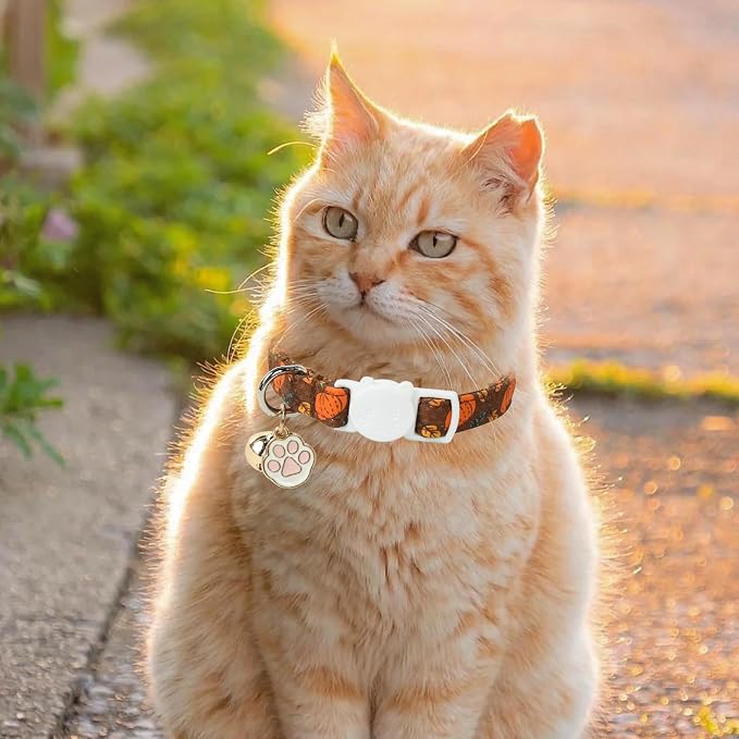 Unique Style Paws Pumpkin Kitten Collar, 2 Pack Halloween Cat Collar - Image 5