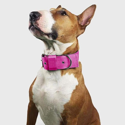 Heavy Duty Tactical Dog Collar - Image 6