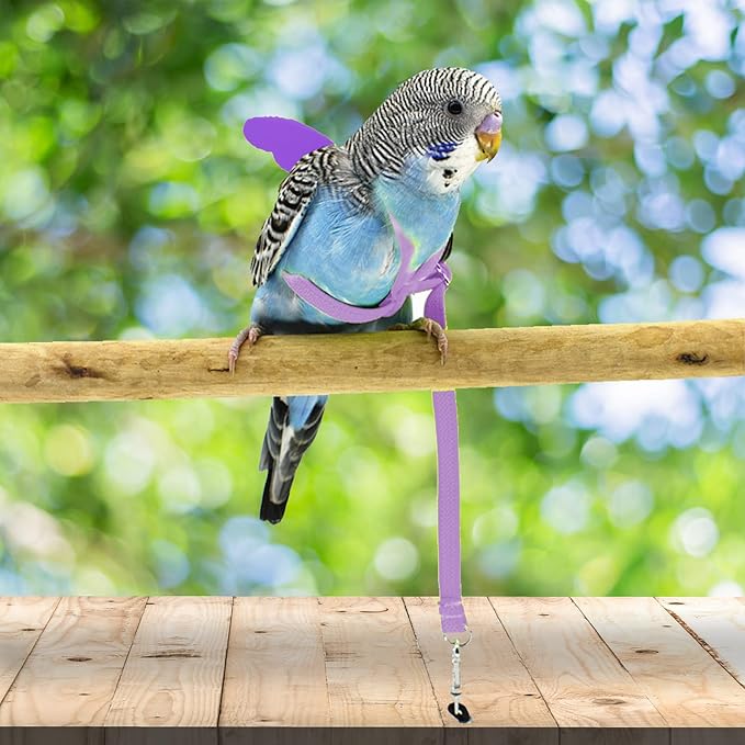 Dnoifne Pet Parrot Bird Harness and Leash, Adjustable Training Design Anti-Bite - Image 2