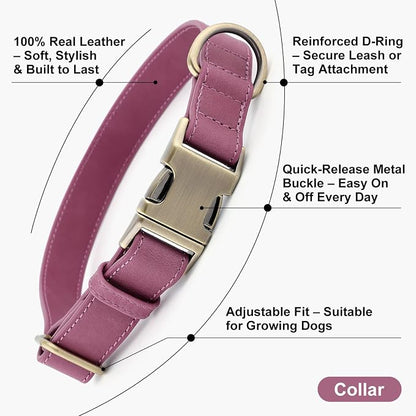 Plutus Pet Genuine Leather Dog Collar – Adjustable Pet Collar - Image 2