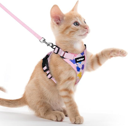 rabbitgoo Cat Harness and Leash by rabbitgoo
