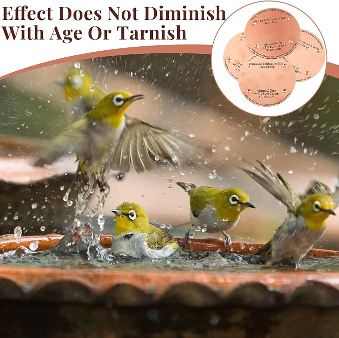 4 Pcs Bird Bath Copper Disk, 0.6mm Thick Reinforced 99.99% Pure Copper Birdbath - Image 6