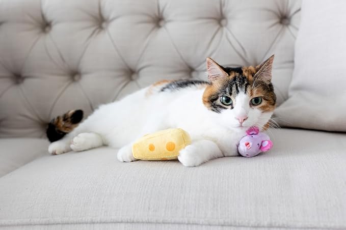 Pearhead Hide and Squeak Teaser Cat Toys, Crinkle and Rope Catnip Mouse and - Image 2