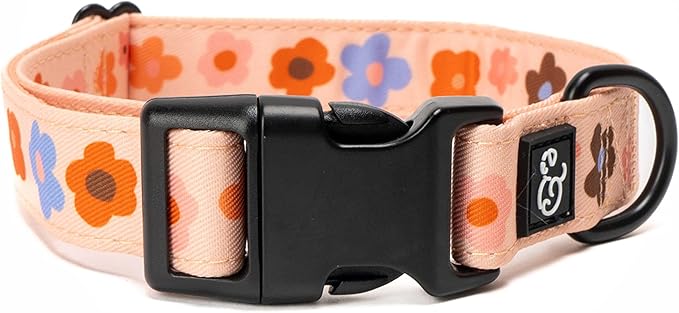 Lucy & Co. Let's Groove Dog Collar by LucyCo