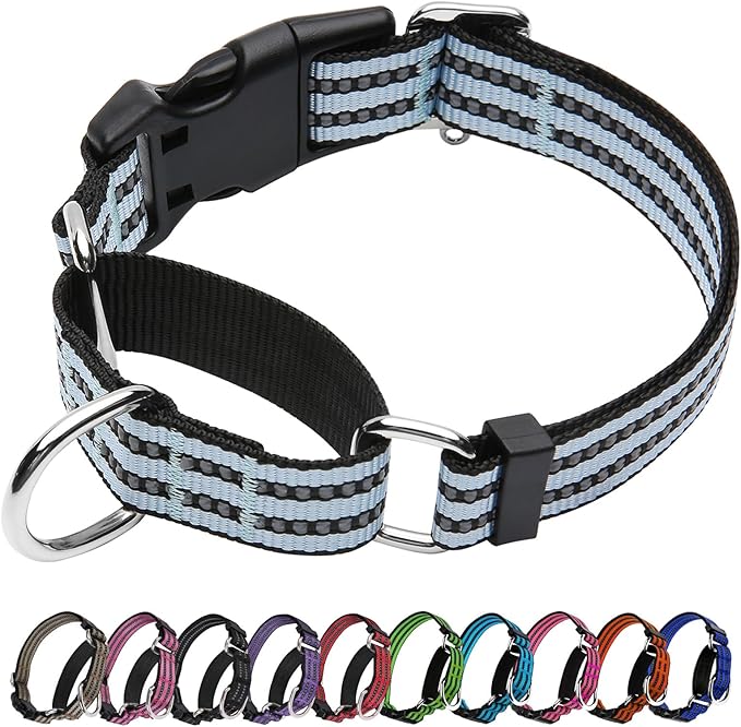 Martingale Dog Collar, Adjustable Nylon Reflective Collar by JOYEEIIOO