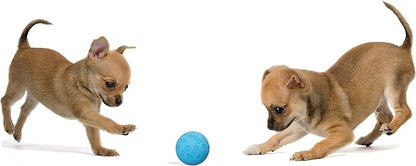 Snug Rubber Dog Balls for Small and Medium Dogs - Image 4