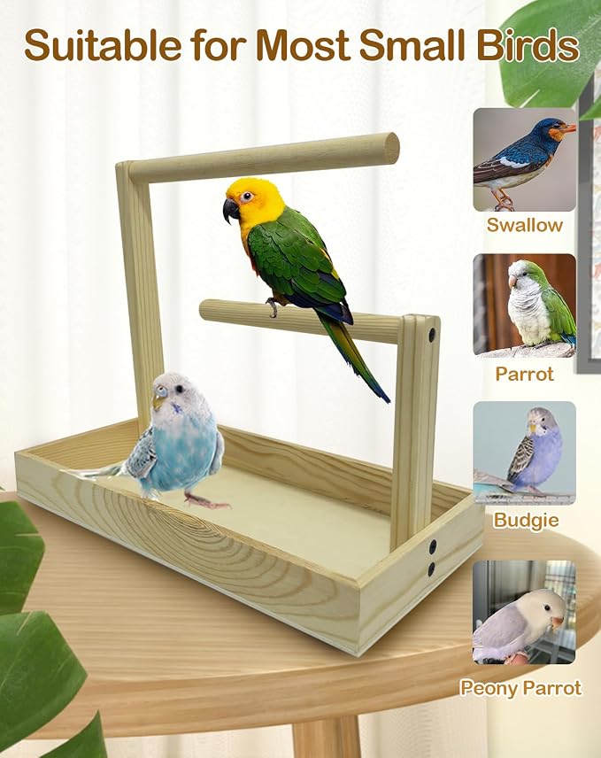 Small Bird Training Stand Portable Tabletop Birds Perch Desktop Platform - Image 5