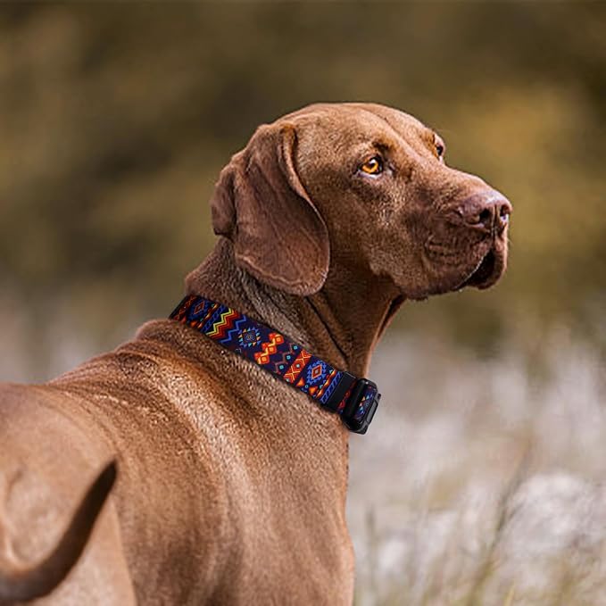 QQPETS Adjustable Soft Dog Collar: Print Flower Pink Multicolor Cute Patterns - Image 6