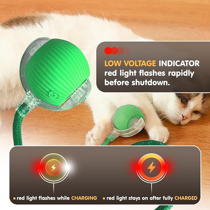 Rocfish Durable Interactive Cat Toys - Image 7