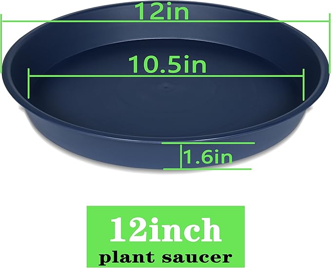 2 Pack of Bird Bath Bowl 12", 1.6" Depth, 10 12 inch Birdbath Bowls Dish Only - Image 2