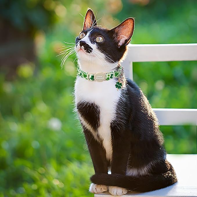 Unique style paws 2 Pack St. Patrick's Day Kitten Collar Breakaway - Image 5
