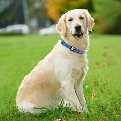 azuza Reflective Dog Collar, Soft Neoprene Padded Pet Collar - Image 5