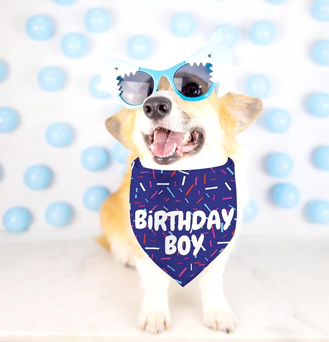 Birthday Boy Dog Bandanas 1 Pack, Pet Scarves - Image 7