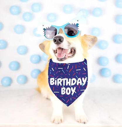 Birthday Boy Dog Bandanas 1 Pack, Pet Scarves - Image 7