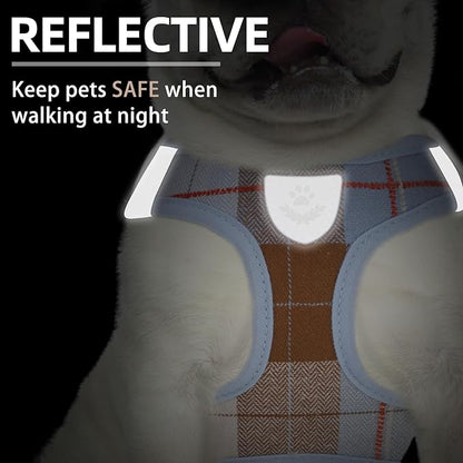 PUPTECK Adjustable Dog Harness Collar and Leash Set Step in No Pull Pet Harness - Image 5