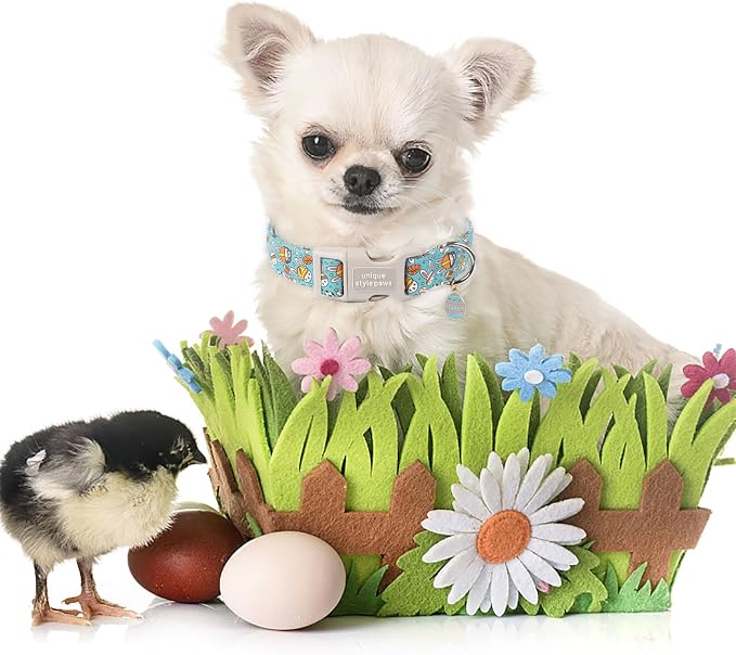 Unique style paws Easter Dog Collar Plastic Buckle Puppy Collar - Image 4