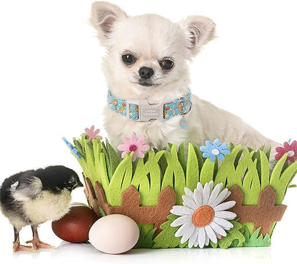 Unique style paws Easter Dog Collar Plastic Buckle Puppy Collar - Image 4