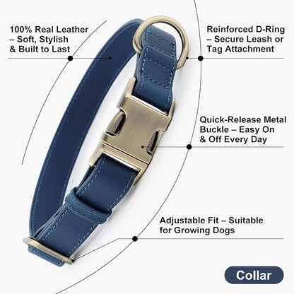 Plutus Pet Genuine Leather Dog Collar – Adjustable Pet Collar - Image 2
