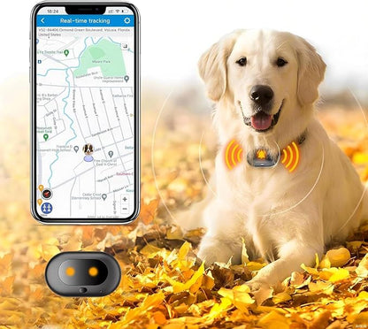 GPS 4G Tracker & Health Monitoring by Fajocru