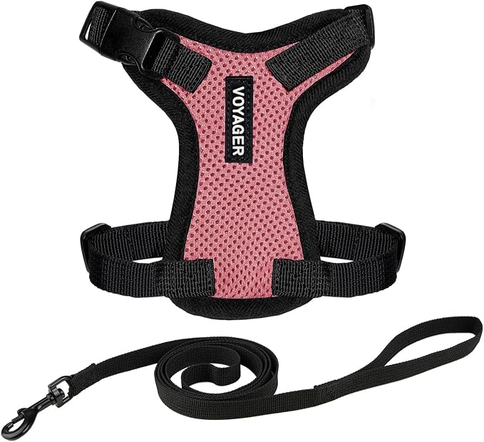 Voyager Escape-Proof Step-in Lock Cat Harness & 5ft Neoprene-Handle Leash Set by BestPetSuppliesLLC