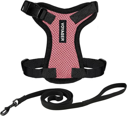 Voyager Escape-Proof Step-in Lock Cat Harness & 5ft Neoprene-Handle Leash Set by BestPetSuppliesLLC