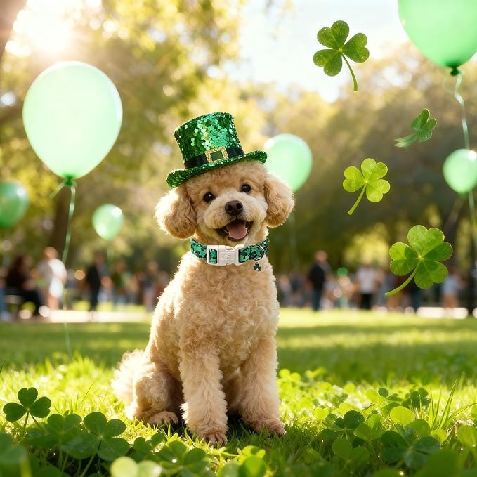 St Patricks Day Dog Collar for Medium Dogs - Image 2